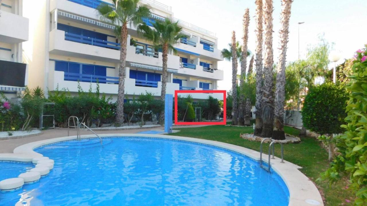شقة Coral House - La Calma - Playa Flamenca - Big Terrace & 4 Swimming Pools. المظهر الخارجي الصورة